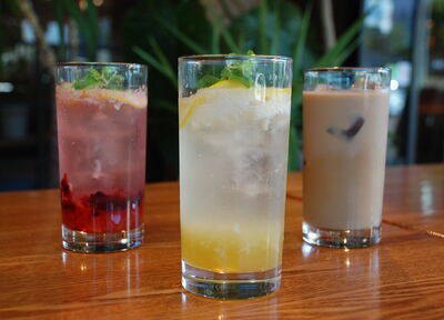 自家製レモネード